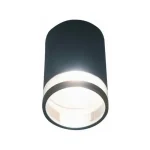 Clear Ring Outdoor Ceiling Light