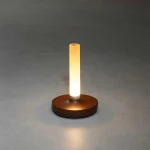 Frosted Vase Rust USB Table Lamp