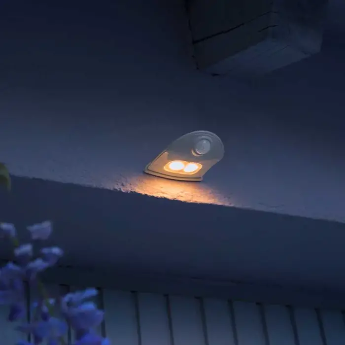 Down Sensor LED Outdoor Wall Light