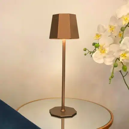 Brown touch control rechargeable table lamp for indoor and outdoor use