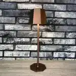 Brown touch control rechargeable table lamp for indoor and outdoor use